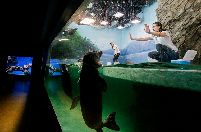 0f6aaa9a55c6846e3847d02ed1a833e6.jpg 0f6aaa9a55c6846e3847d02ed1a833e6.jpg