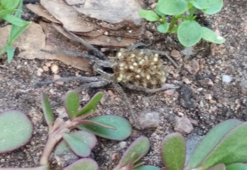 5DypQLzDyHk.jpg 5DypQLzDyHk.jpg