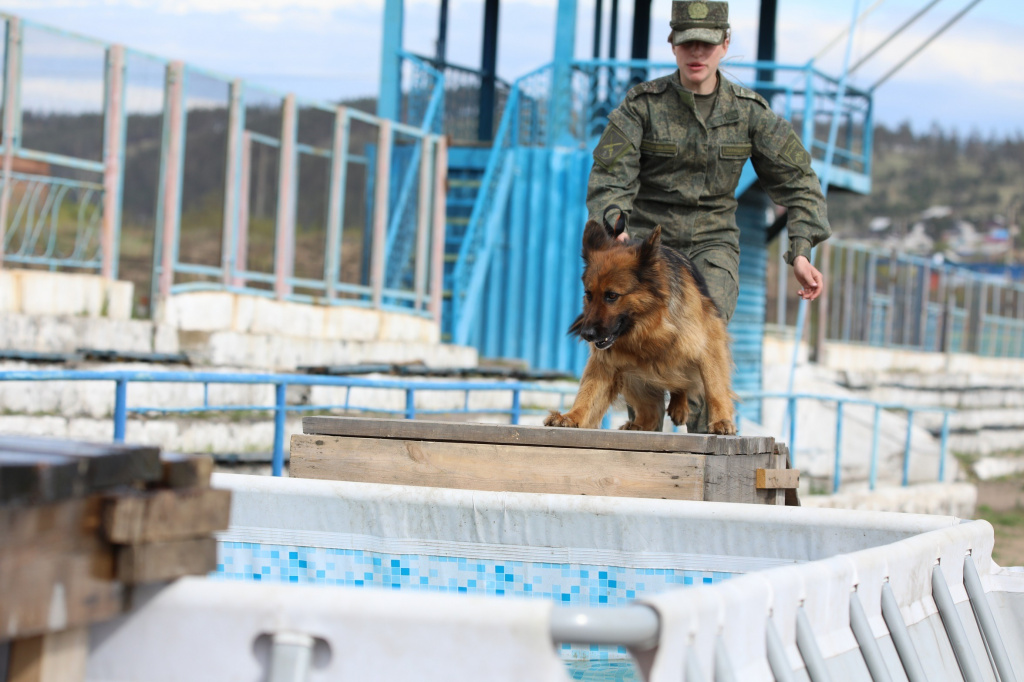 526A8353.jpg 526A8353.jpg