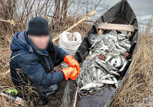 На севере Бурятии полицейские задержали браконьера с крупной партией байкальского омуля