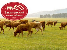 ООО «Закаменский мясокомбинат»